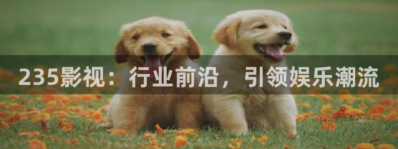 达达兔第一影院