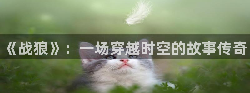 神马影院达达兔无毒不卡