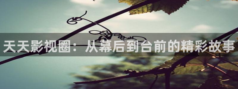 神马达兔免达达兔影院