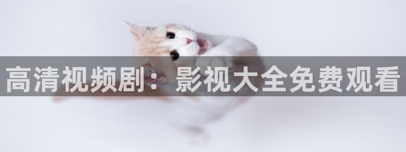 达达兔在线观看电影